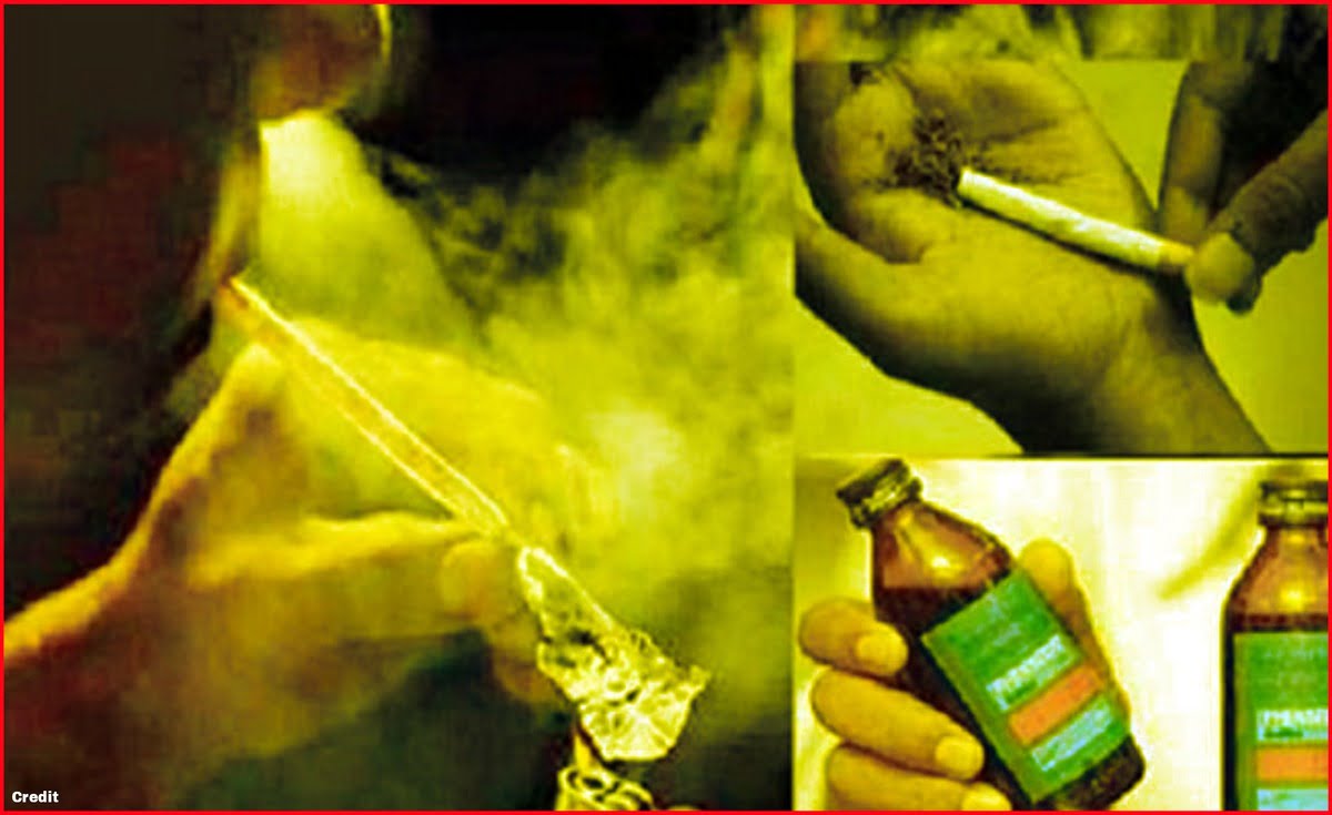 700 kg of drugs seized