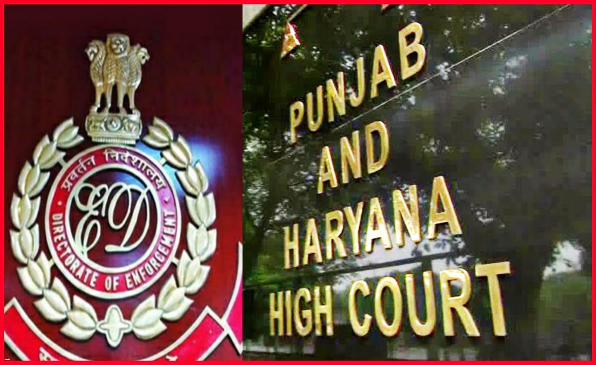 HC angry with ED's role