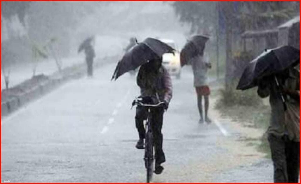 Latest Weather Report