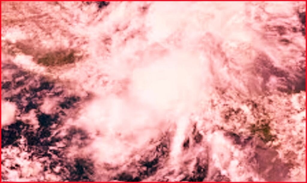 "Fenjal" LIVE update,Dead 3