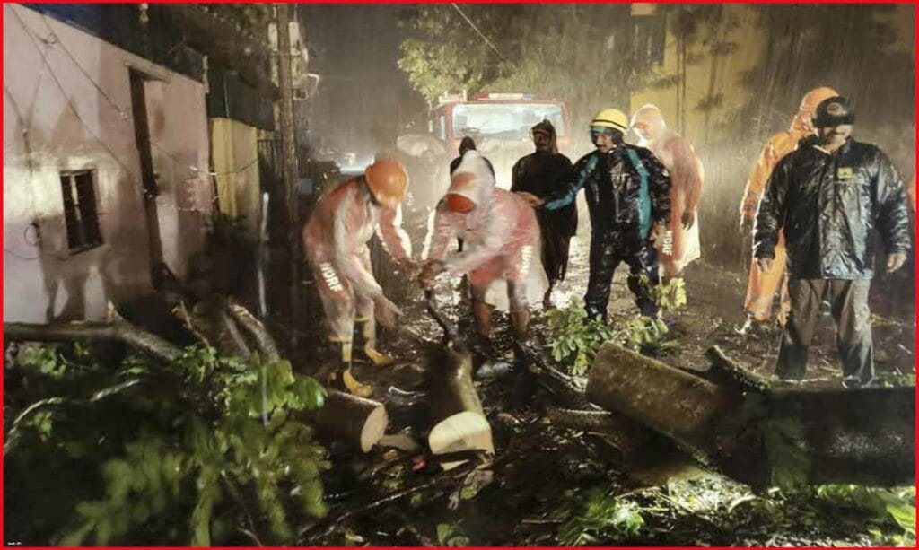 "Fenjal" LIVE update,Dead 3