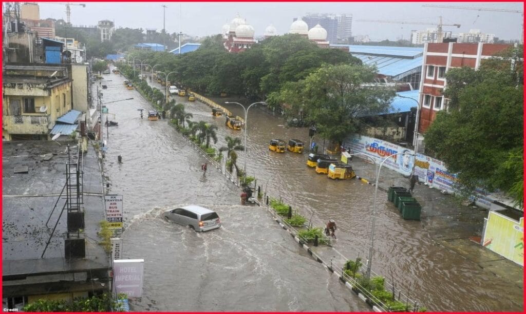 "Fenjal" LIVE update,Dead 3