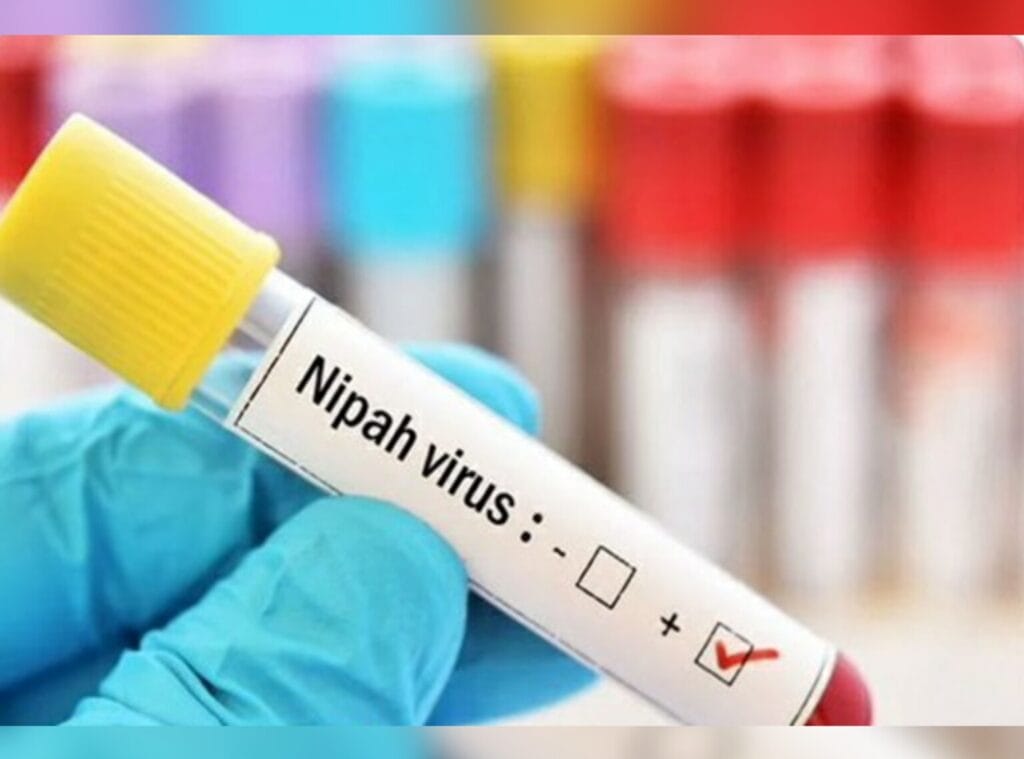 Nipa Virus in WB