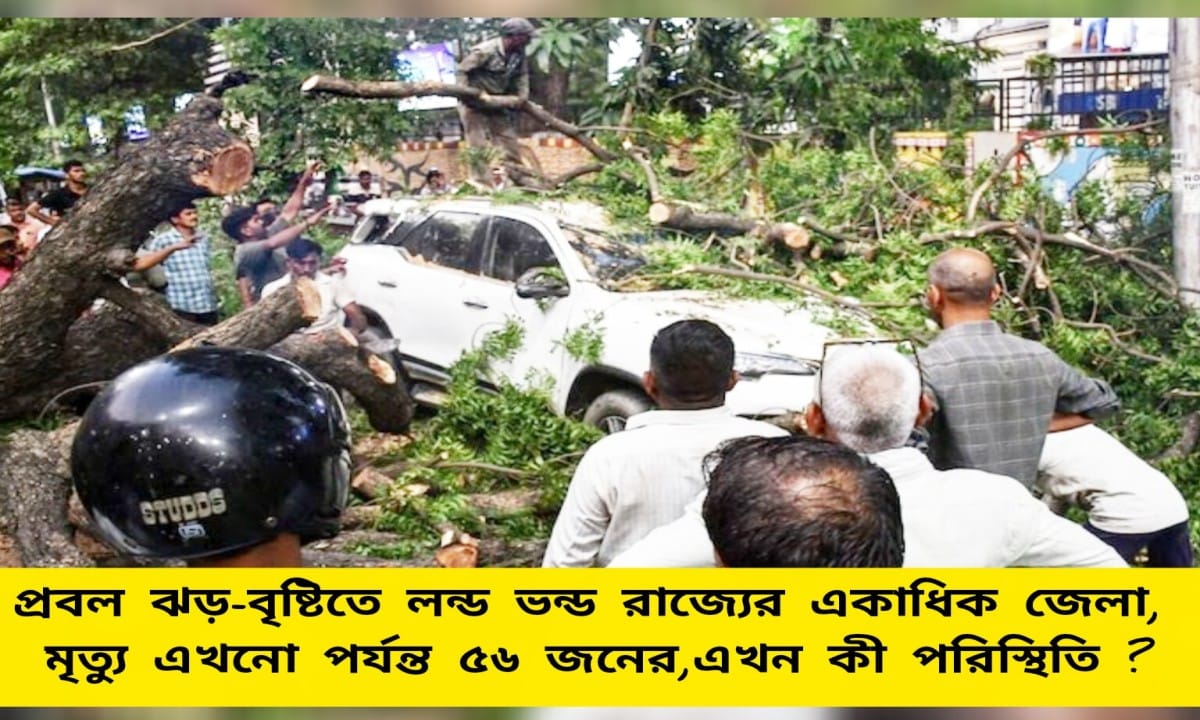 56 Killed