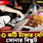 38 kg gold seized