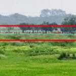 Malda