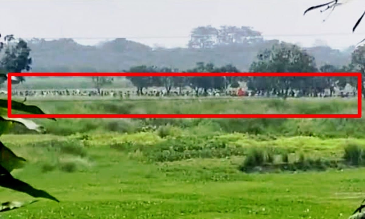 Malda